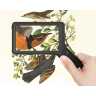Лупа цифровая LEVENHUK ERGO 40 PRO 86556